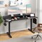 Electric Standing Desk with Adjustable Height, Drawers and Ergonomic Monitor Stand